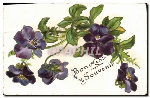 Cartes postales Bon souvenir Fleurs