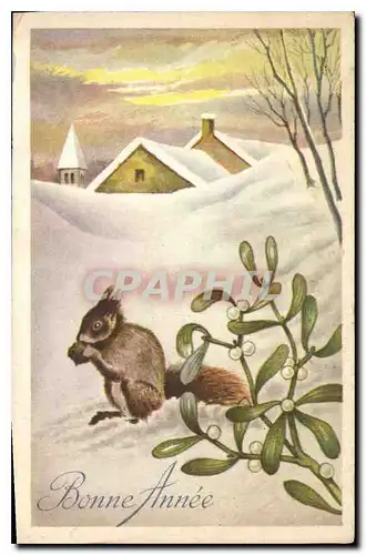 Cartes postales Bonne Annee Ecureuil