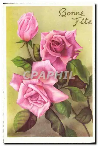 Cartes postales Bonne Fete Fleurs
