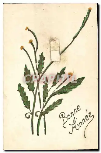 Cartes postales Bonne Annee Fleurs