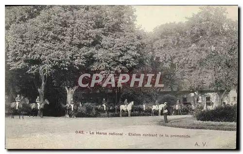 Cartes postales Le Haras national Etalom rentrant de la promenade Chevaux