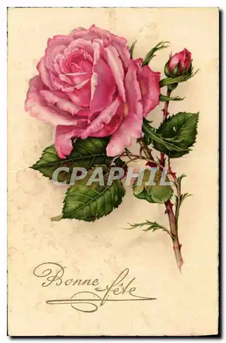 Cartes postales Bonne Fete Fleurs