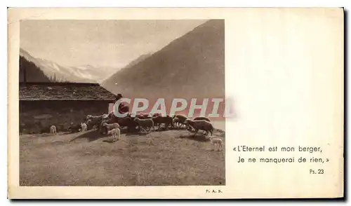 Cartes postales l'Eternel est mon berger Je ne manquerai de rien Moutons