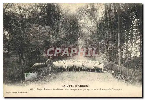 Cartes postales La Cote d'Argent Berger Landais conduisant son troupeau au pacage dans les Landes de Gascogne Mo