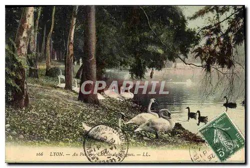 Cartes postales Lyon Au Parc Le Coin des Cygnes