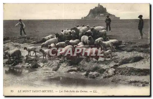 Ansichtskarte AK Le Mont Saint Michel Les Pres Sales des Greves Berger Moutons