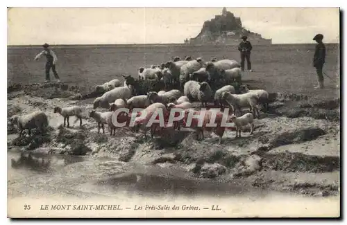 Cartes postales Le Mont Saint Michel Les Pres Sales des Greves Berger Moutons