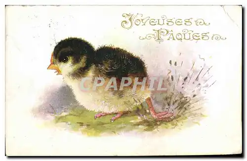 Cartes postales Fantaisie Poussin P�ques