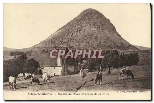 Ansichtskarte AK l'Ardeche Iluustree Gerbier des Jones et Ferme de la Loire Vache