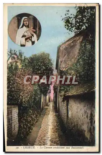 Cartes postales Lisieux Le Chemin conduisant aux Baissonnels