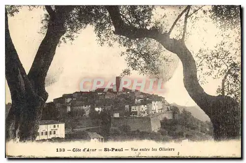 Ansichtskarte AK Cote d'Azur St Paul Vue entre les Oliviers