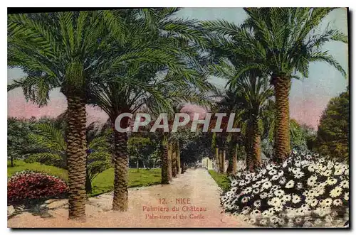 Cartes postales Nice Palmiers du Chateau