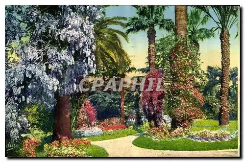 Ansichtskarte AK La Cote d'Azur Jardin Fleuri