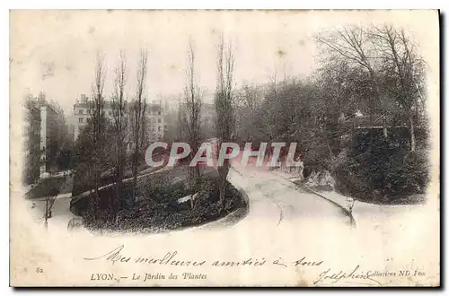 Cartes postales Lyon Le Jardin des Plantes