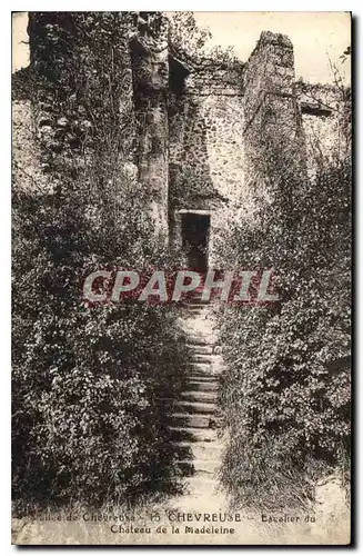 Cartes postales Chevreuse Escalier du Chateau de la Madeleine