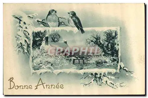 Cartes postales Bonne Annee Oiseaux