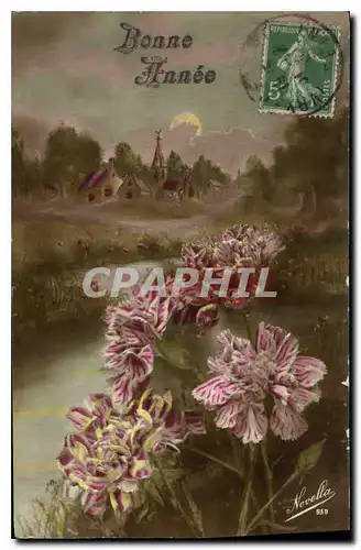 Cartes postales Bonne Annee Fleurs