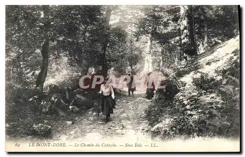 Ansichtskarte AK Le Mont Dore Le Chemin du Capucin Sous Bois