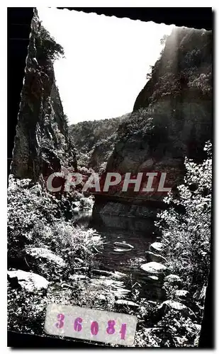 Ansichtskarte AK Amelie les Bains PO Perle des Pyrenees Contre jour sur les Gorges du Mondony