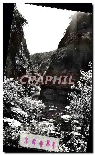 Cartes postales Amelie les Bains PO Perle des Pyrenees Contre jour sur les Gorges du Mondony