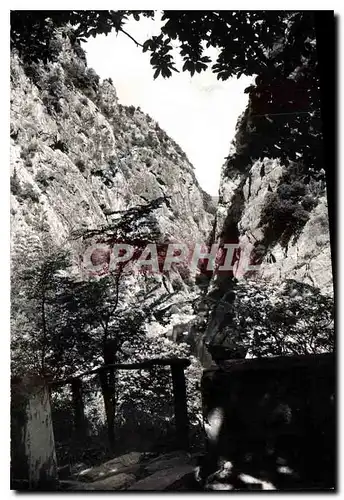 Cartes postales Amelie les Bains PO Gorges du Mondony