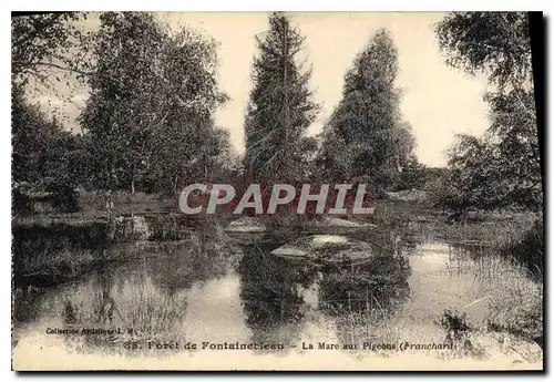 Ansichtskarte AK Foret de Fontainebleau La Mare aux Pigeons