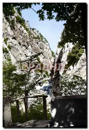 Ansichtskarte AK Amelie les Bains PO Perle des Pyrenees Les Gorges du Mondony