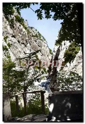 Cartes postales Amelie les Bains PO Perle des Pyrenees Les Gorges du Mondony