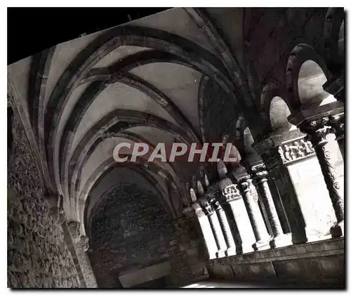 Cartes postales Elne PO Le Cloitre vue interieure Au fone le sarcophage