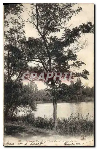 Ansichtskarte AK Lyon Parc de la Tete d'Or Un Coin du Lac