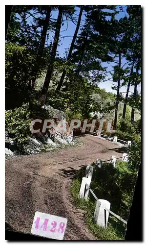 Cartes postales Le Gard Touristique Lasalle Gard Lacets et sous bois de la route de Redares a Colognac