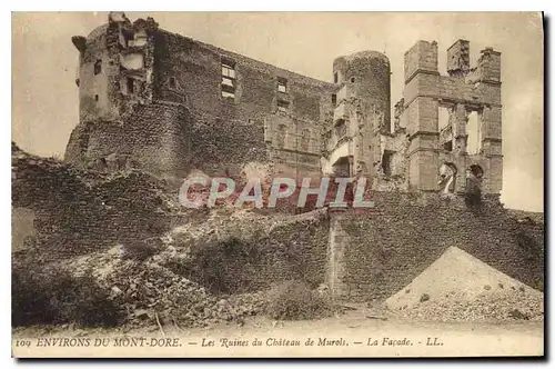 Ansichtskarte AK Environs du Mont Dore Les Ruines du Chateau de Murols La Facade