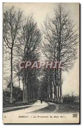 Cartes postales Bernay La Promenade du Mont Milan