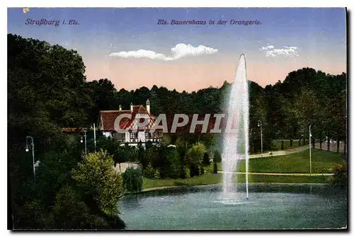 Cartes postales Strasburg Ets Banerahaus in der Orangerie