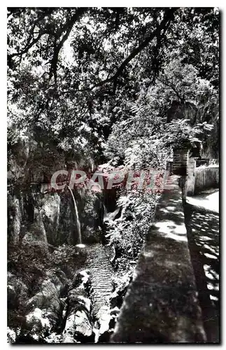 Cartes postales moderne Amelie les Bains P O Perle des Pyrenees Les Gorges du Mondony