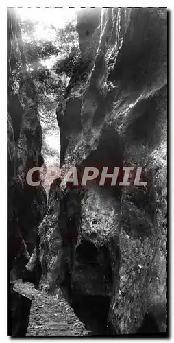 Cartes postales moderne Arles sur Tech P O Les gorges de la Foux