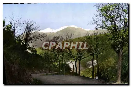 Cartes postales moderne Amelie les Bains P O Perle des Pyrenees Le Canigou enneige vu de la Route de Montalba