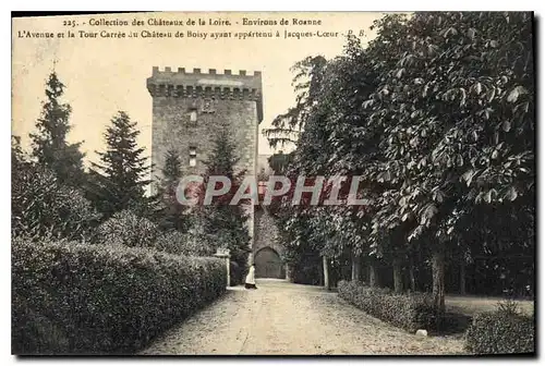 Cartes postales Collection des chateau de la Loire Environs de Roanne l'Avenue et la Tour Carree du Chateau de B