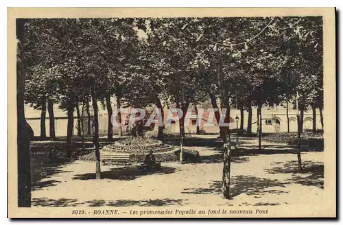 Cartes postales Roanne les Promenades Populle au fond le Nouveau Pont