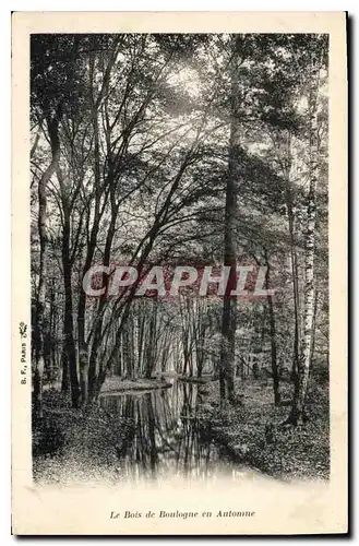 Cartes postales Le Bois de Boulogne en Automne