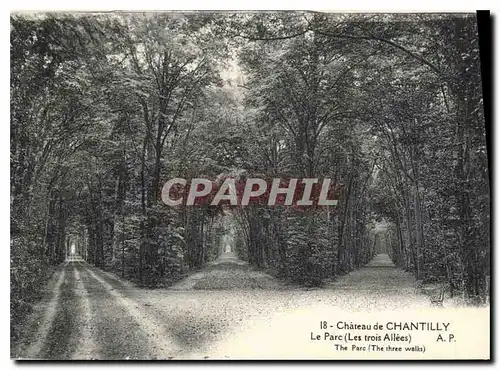 Ansichtskarte AK Le Chateau de Chantilly le Parc les trois Allees