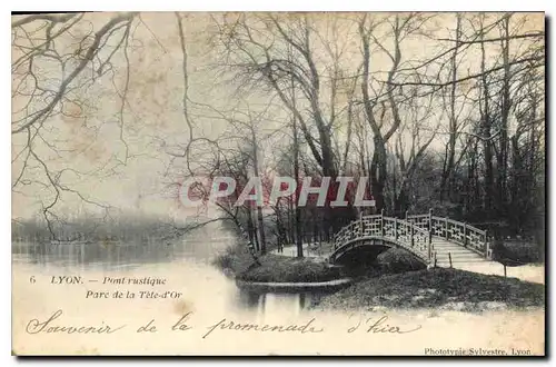 Cartes postales Lyon Pont rustique Parc de la Tete d'Or