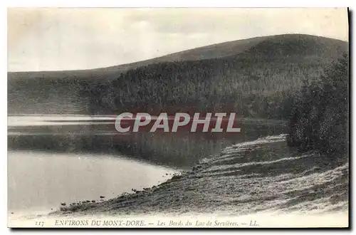 Ansichtskarte AK Environs du Mont Dore les Bords du Lac de Servieres