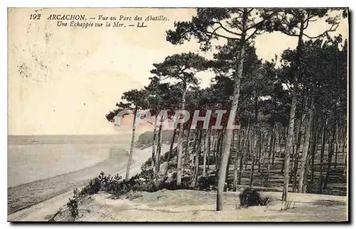 Cartes postales Arhachon Vue au Parc des Abatilles Une Echappee sur la Mer