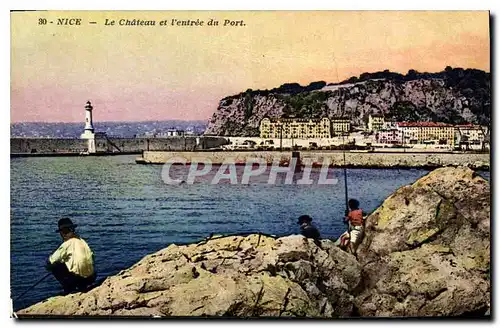 Cartes postales Nice Le Chateau et l'entree du Port