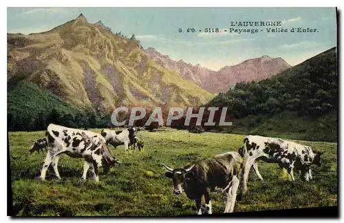 Cartes postales l'Auvergne Paysage Vallee d'Enfer Vaches