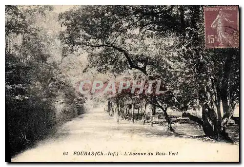 Ansichtskarte AK Fouras Ch Inf L'Avenue du Bois Vert