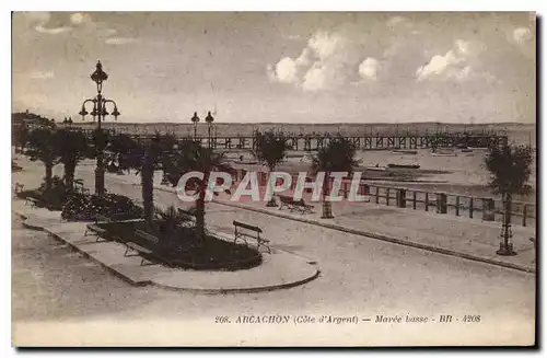 Cartes postales Arcachon Cote d'Argent Maree basse