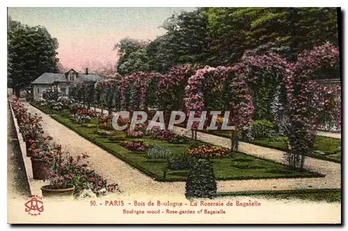 Cartes postales Paris Bois de Boulogne La Rosseraie de Bagatelle