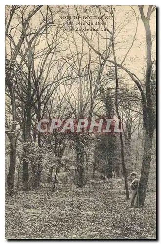 Cartes postales Bois de Boulogne un coin du Bois pres du grand Lac